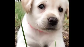 Trai tắm thủ d&acirc;m